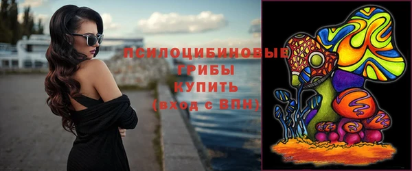2c-b Ладушкин