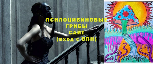 2c-b Ладушкин