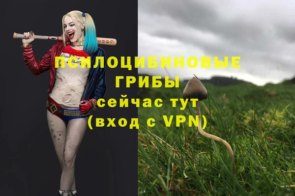 мдпв Лагань