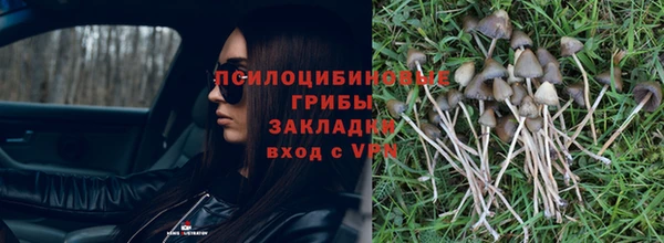 мдпв Лагань